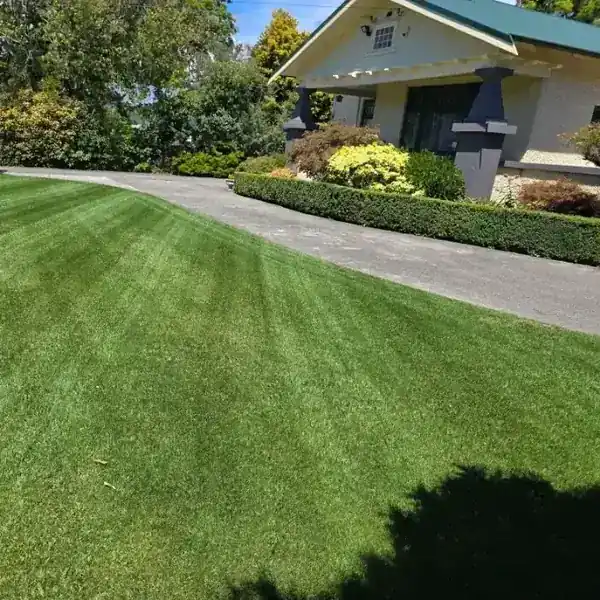 Precision Lawn Mowing