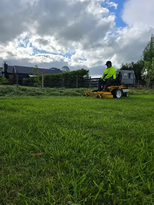 Recent lawn care project in Masterton 1