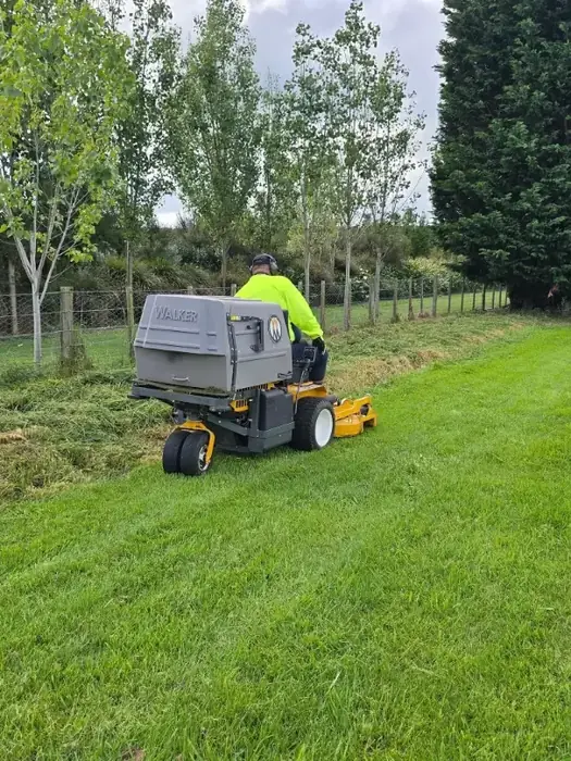 Recent lawn care project in Masterton 2