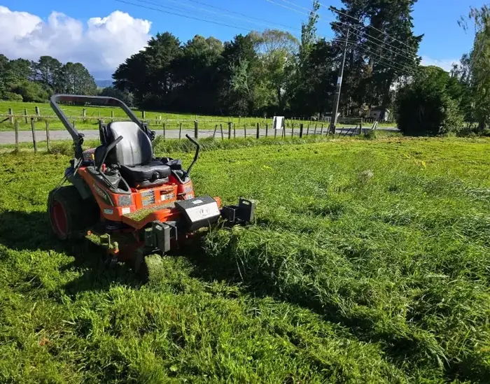 Recent lawn care project in Masterton 4