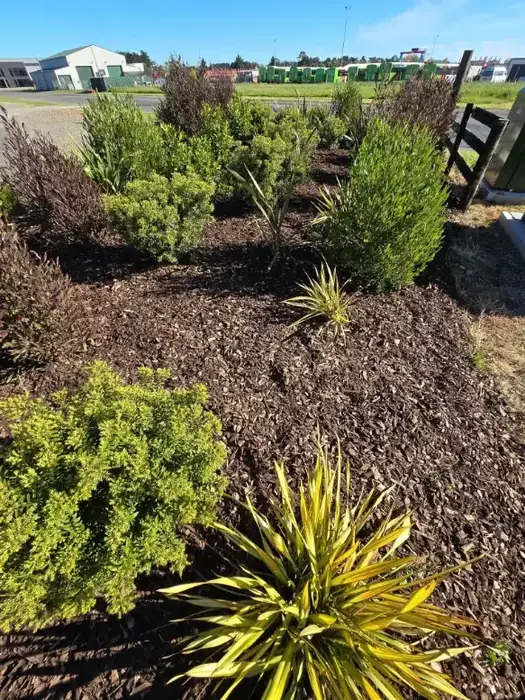 Lawn care project in Masterton 7