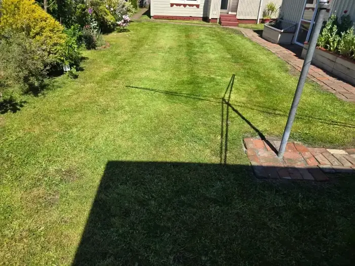 Lawn care project in Masterton 8