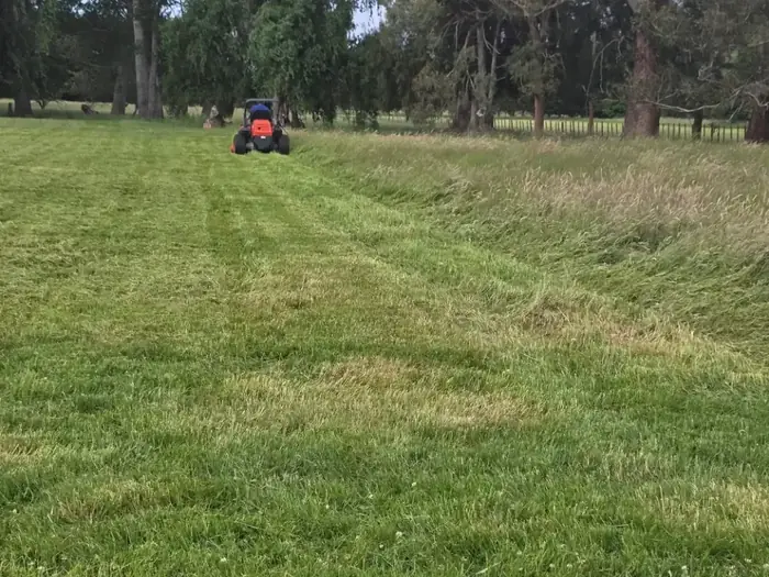 Lawn care project in Masterton 9