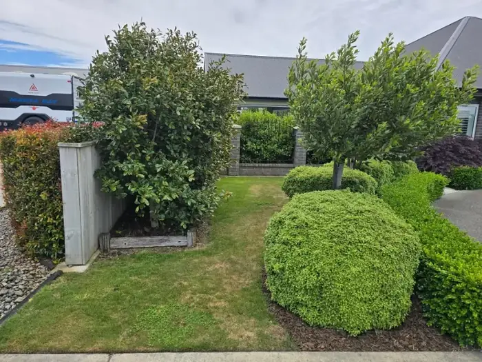 Lawn care project in Masterton 10