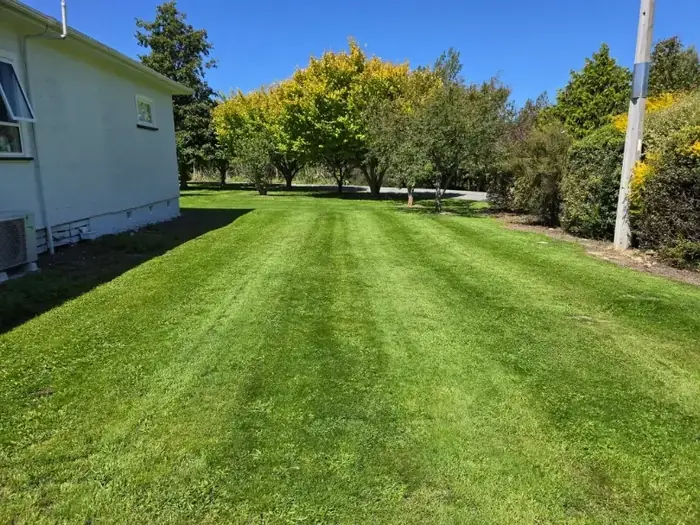Lawn care project in Masterton 11