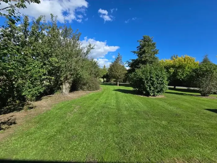 Lawn care project in Masterton 12
