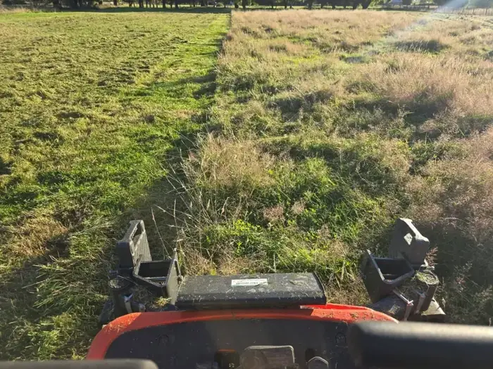 Lawn care project in Masterton 13