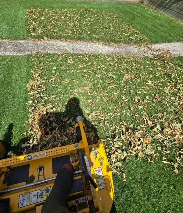 Lawn care project in Masterton 14
