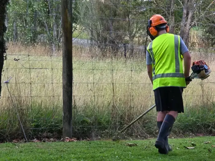 Lawn care project in Masterton 15