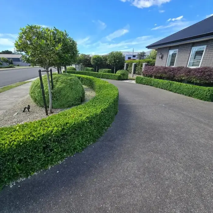 Lawn care project in Masterton 17