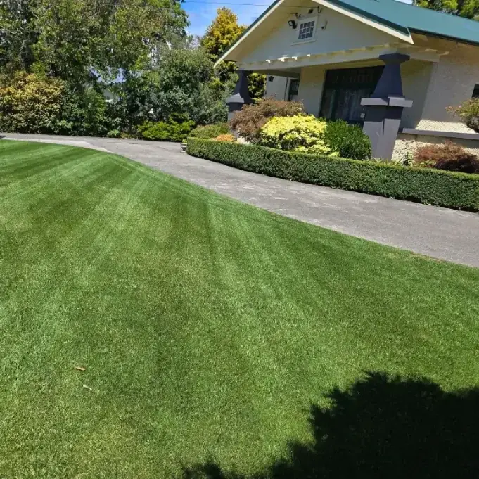 Lawn care project in Masterton 19